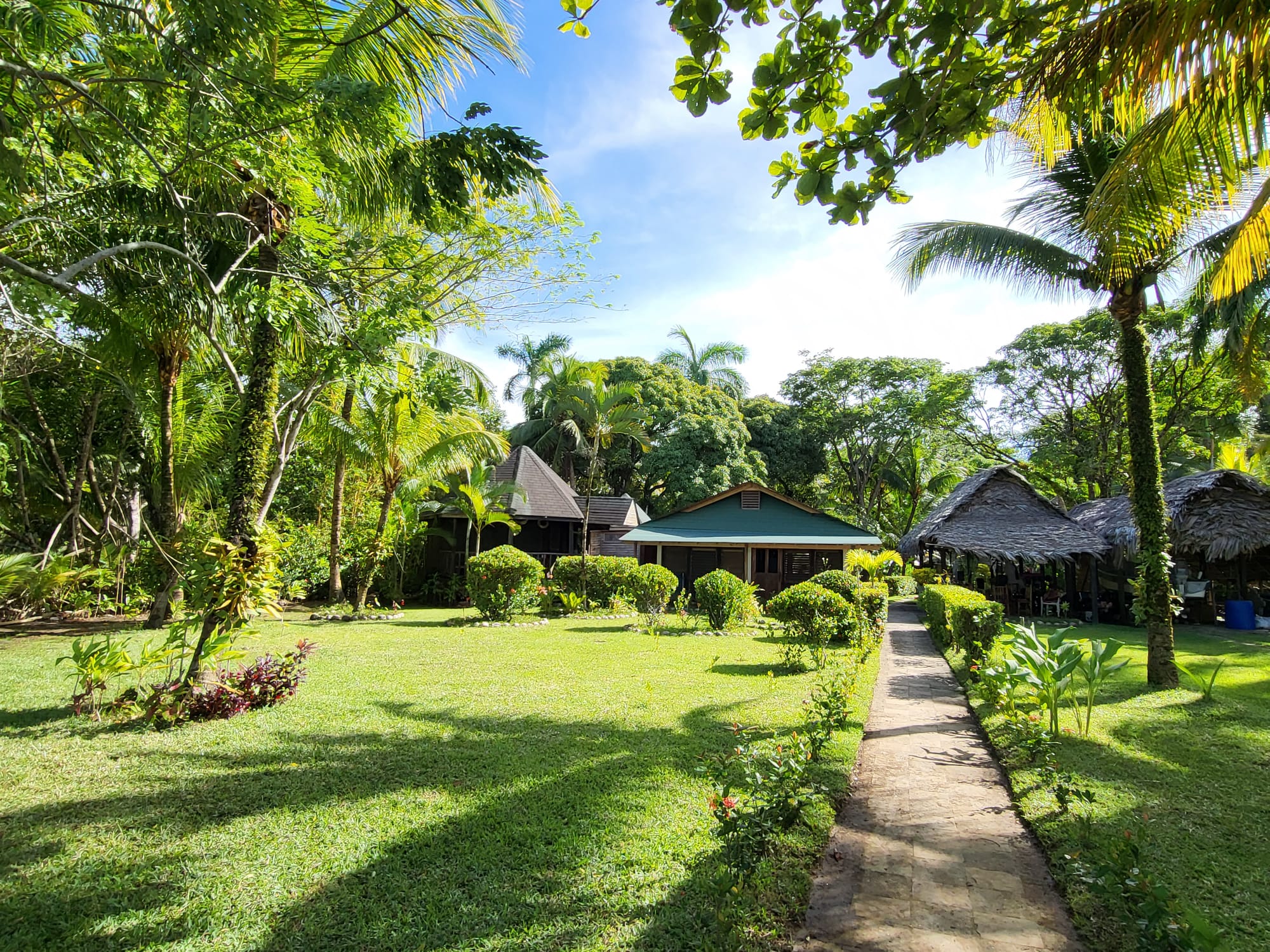 Tropical cocktails and drinks